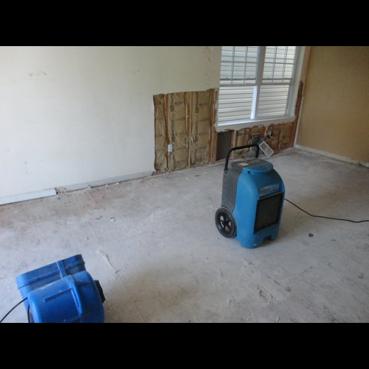 DryEase Mold Removal in Queens City, New York, United States - #2 Photo of Point of interest, Establishment, General contractor