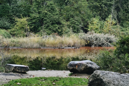 Forest Park in Flushing City, New York, United States - #4 Photo of Point of interest, Establishment, Park