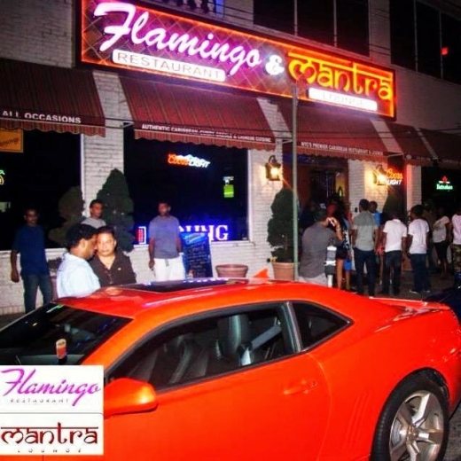Flamingo Restaurant & Mantra Lounge in South Ozone Park City, New York, United States - #3 Photo of Restaurant, Food, Point of interest, Establishment, Bar, Night club