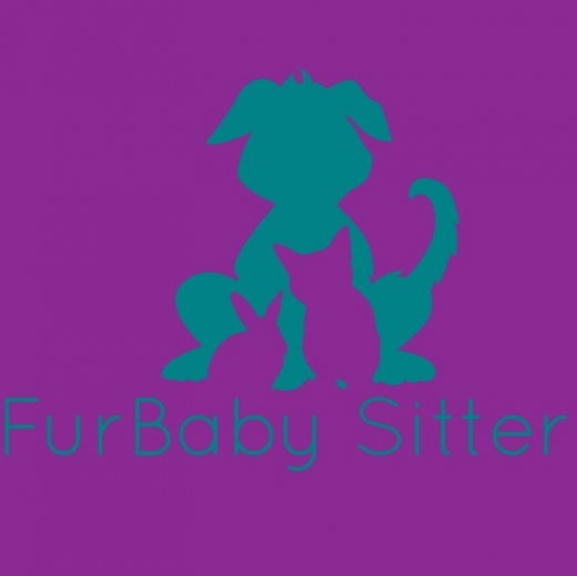 FurBaby Sitter in Kings County City, New York, United States - #3 Photo of Point of interest, Establishment