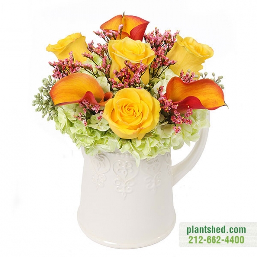Photo by <br />
<b>Notice</b>:  Undefined index: user in <b>/home/www/activeuser/data/www/vaplace.com/core/views/default/photos.php</b> on line <b>128</b><br />
. Picture for PlantShed New York Flowers in New York City, New York, United States - Point of interest, Establishment, Store, General contractor, Florist