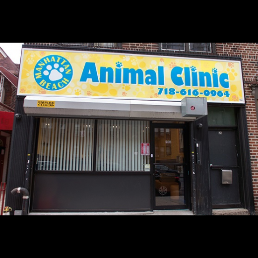 Manhattan Beach Animal Clinic in Brooklyn City, New York, United States - #1 Photo of Point of interest, Establishment, Veterinary care