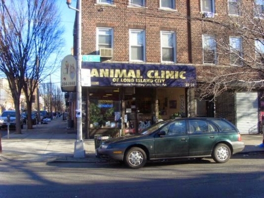 Animal Clinic of Long Island City in Astoria City, New York, United States - #2 Photo of Point of interest, Establishment, Veterinary care