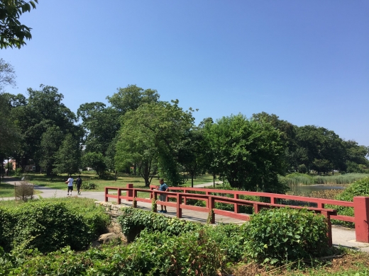 Brookville Park in Rosedale City, New York, United States - #1 Photo of Point of interest, Establishment, Park