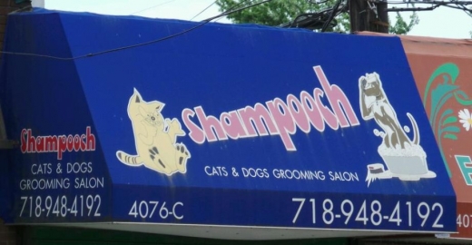 Shampooch in Staten Island City, New York, United States - #2 Photo of Point of interest, Establishment, Veterinary care