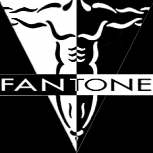 Fantone Fitness in New York City, New York, United States - #3 Photo of Point of interest, Establishment, Health, Gym