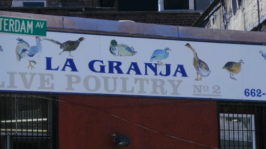 La Granja Live Poultry Corporation in New York City, New York, United States - #2 Photo of Food, Point of interest, Establishment, Store