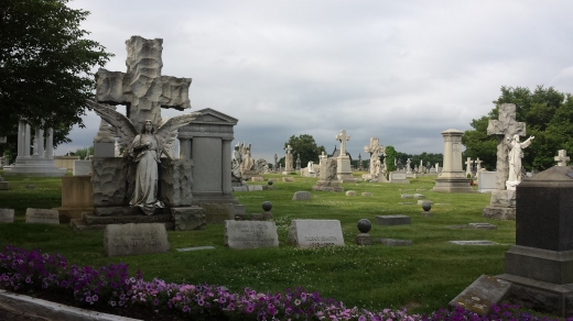 Photo by <br />
<b>Notice</b>:  Undefined index: user in <b>/home/www/activeuser/data/www/vaplace.com/core/views/default/photos.php</b> on line <b>128</b><br />
. Picture for Holy Sepulchre Cemetery in East Orange City, New Jersey, United States - Point of interest, Establishment, Cemetery