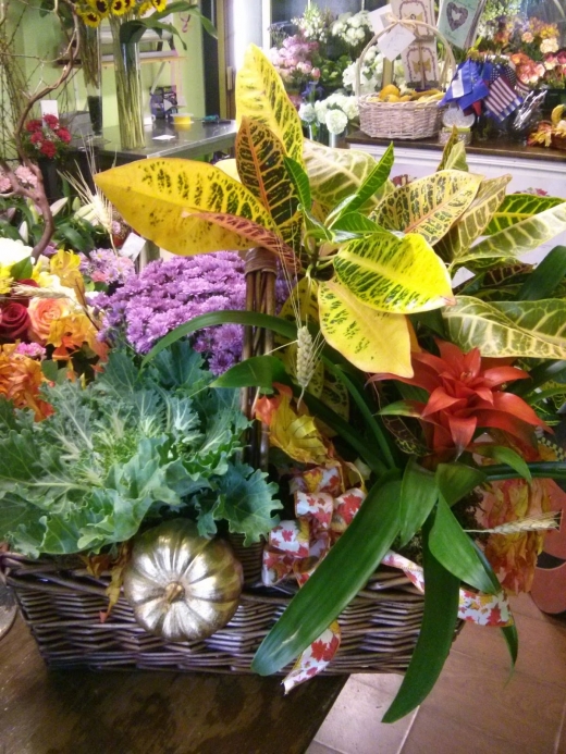 Photo by <br />
<b>Notice</b>:  Undefined index: user in <b>/home/www/activeuser/data/www/vaplace.com/core/views/default/photos.php</b> on line <b>128</b><br />
. Picture for Westbury Florist Inc in Westbury City, New York, United States - Point of interest, Establishment, Store, Florist