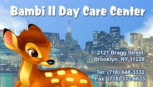 BAMBI-II DAY CARE CENTER in Brooklyn City, New York, United States - #1 Photo of Point of interest, Establishment, School