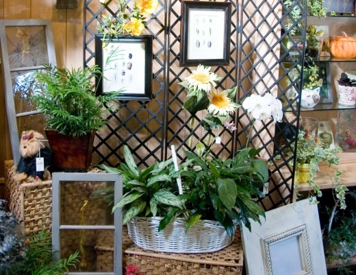 Feldis Florists in Garden City, New York, United States - #3 Photo of Point of interest, Establishment, Store, Florist