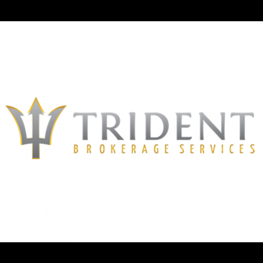 Trident Brokerage Services LLC in New York City, New York, United States - #1 Photo of Point of interest, Establishment