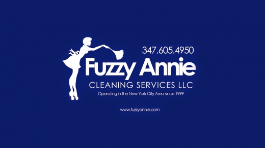 Fuzzy Annie Cleaning Services in Hempstead City, New York, United States - #1 Photo of Point of interest, Establishment
