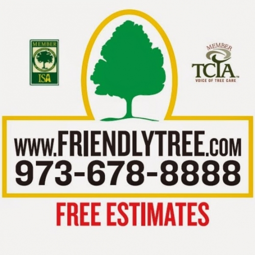 Friendly Tree Service- Fine Pruning of Trees and Shrubs in Rutherford City, New Jersey, United States - #3 Photo of Point of interest, Establishment