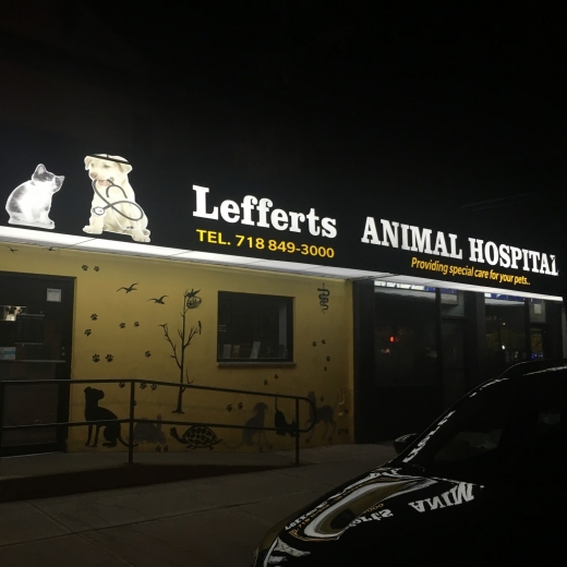 Lefferts Animal Hospital in Queens City, New York, United States - #1 Photo of Point of interest, Establishment, Veterinary care