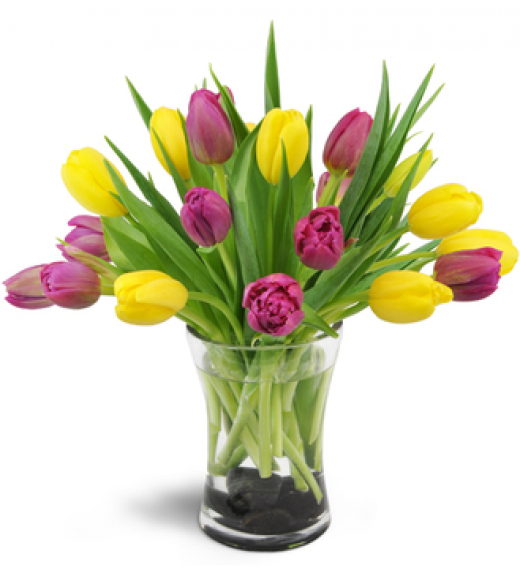 Photo by <br />
<b>Notice</b>:  Undefined index: user in <b>/home/www/activeuser/data/www/vaplace.com/core/views/default/photos.php</b> on line <b>128</b><br />
. Picture for Fort Lee Florist in Fort Lee City, New Jersey, United States - Point of interest, Establishment, Store, Florist