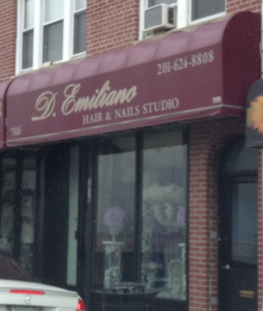 D Emiliano Hair Studio in North Bergen City, New Jersey, United States - #1 Photo of Point of interest, Establishment, Beauty salon