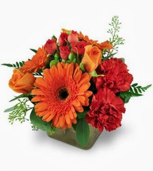 Photo by <br />
<b>Notice</b>:  Undefined index: user in <b>/home/www/activeuser/data/www/vaplace.com/core/views/default/photos.php</b> on line <b>128</b><br />
. Picture for Cappelletti Florist Inc in Union City, New Jersey, United States - Point of interest, Establishment, Store, Florist