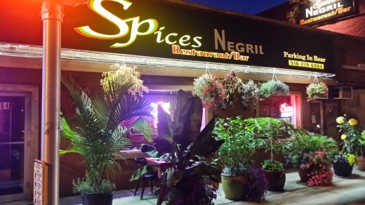 Spices Negril Restaurant & Lounge in South Hempstead City, New York, United States - #4 Photo of Restaurant, Food, Point of interest, Establishment, Bar, Night club