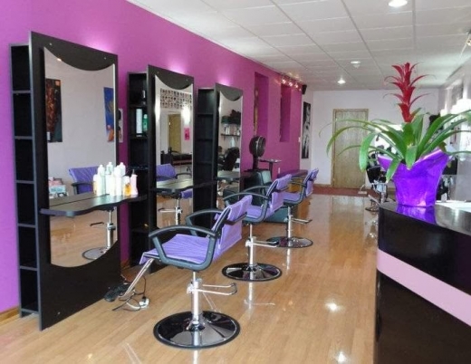 L'Chic Hair Salon in Eastchester City, New York, United States - #1 Photo of Point of interest, Establishment, Beauty salon, Hair care