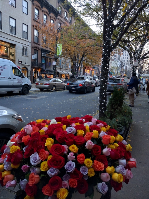 James Weir Floral Co. in Brooklyn City, New York, United States - #2 Photo of Point of interest, Establishment, Store, Florist