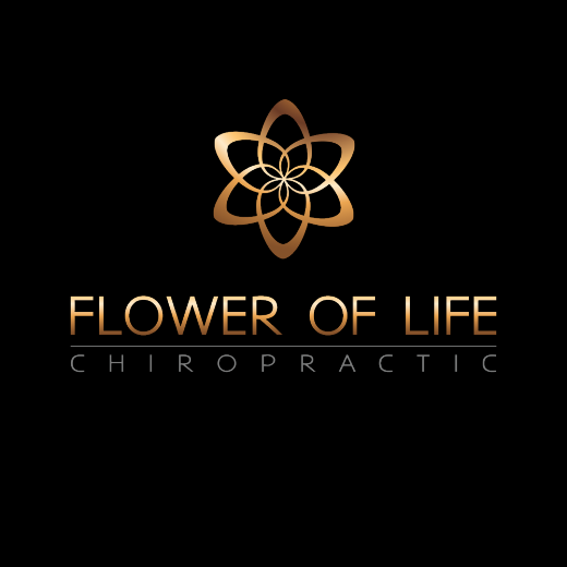 Flower of Life Chiropractic in Garden City, New York, United States - #2 Photo of Point of interest, Establishment, Health