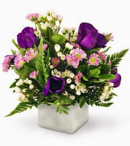 Photo by <br />
<b>Notice</b>:  Undefined index: user in <b>/home/www/activeuser/data/www/vaplace.com/core/views/default/photos.php</b> on line <b>128</b><br />
. Picture for Cappelletti Florist Inc in Union City, New Jersey, United States - Point of interest, Establishment, Store, Florist