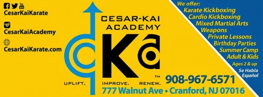 Cesar-Kai Academy in Cranford City, New Jersey, United States - #3 Photo of Point of interest, Establishment, Health, Gym
