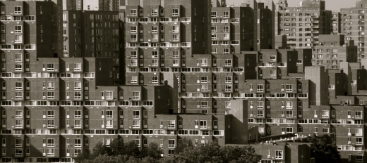 Urban American in New York City, New York, United States - #2 Photo of Point of interest, Establishment