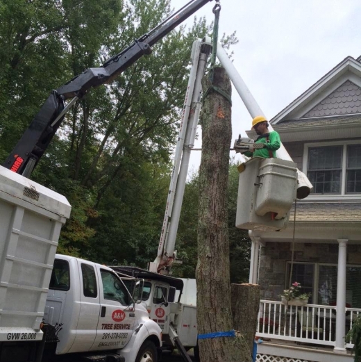 Photo by A and H Tree Service for A and H Tree Service