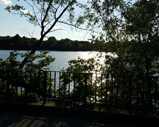 Silver Lake Park in Staten Island City, New York, United States - #2 Photo of Point of interest, Establishment, Park