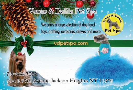 Venus & Dalila Pet Spa/ Dog Grooming in Queens City, New York, United States - #2 Photo of Point of interest, Establishment, Store, Veterinary care