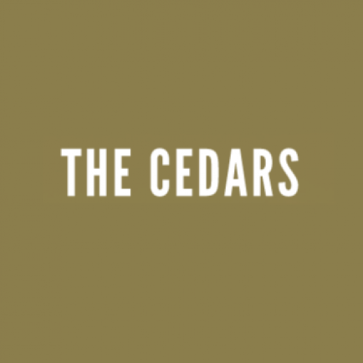 Cedar Arms in Bronx City, New York, United States - #2 Photo of Point of interest, Establishment, Real estate agency