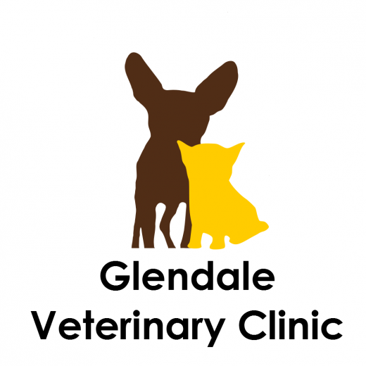 Glendale Veterinary Clinic in Glendale City, New York, United States - #2 Photo of Point of interest, Establishment, Veterinary care