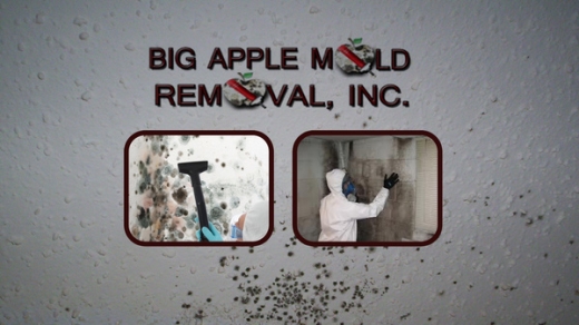 Big Apple Mold Removal in Lawrence City, New York, United States - #3 Photo of Point of interest, Establishment, General contractor, Laundry