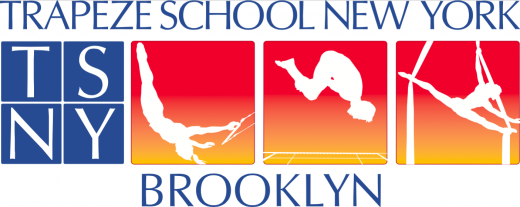 Trapeze School New York (TSNY) - Brooklyn in New York City, New York, United States - #3 Photo of Point of interest, Establishment, School