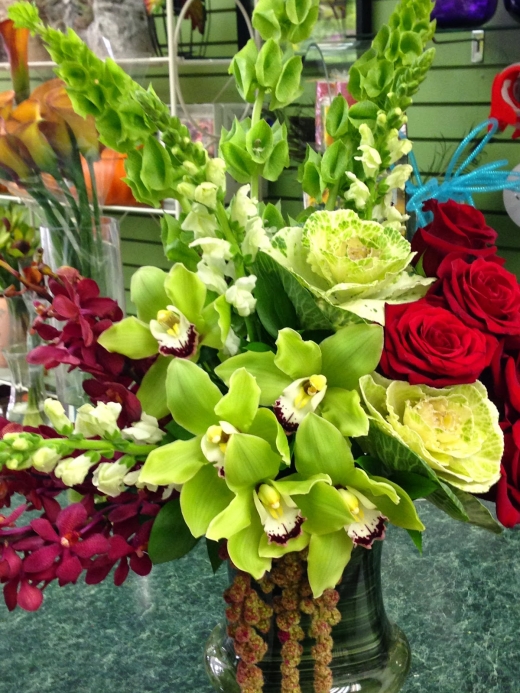 Photo by <br />
<b>Notice</b>:  Undefined index: user in <b>/home/www/activeuser/data/www/vaplace.com/core/views/default/photos.php</b> on line <b>128</b><br />
. Picture for Pelham Manor Florist in Pelham City, New York, United States - Point of interest, Establishment, Store, Florist