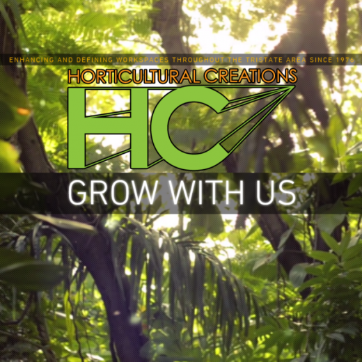 Horticultural Creations Inc in New York City, New York, United States - #1 Photo of Point of interest, Establishment, Store, General contractor, Florist