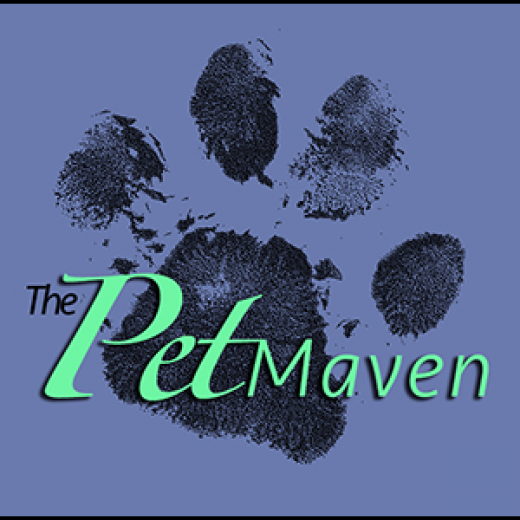 The Pet Maven LLC in New York City, New York, United States - #4 Photo of Point of interest, Establishment