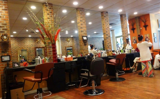 Tribeca Salon and Spa in Great Neck City, New York, United States - #2 Photo of Point of interest, Establishment, Hair care