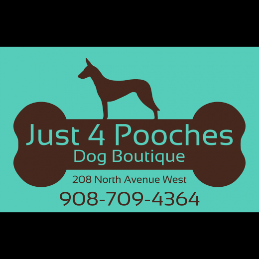 Photo by <br />
<b>Notice</b>:  Undefined index: user in <b>/home/www/activeuser/data/www/vaplace.com/core/views/default/photos.php</b> on line <b>128</b><br />
. Picture for Just 4 Pooches Dog Boutique in Cranford City, New Jersey, United States - Point of interest, Establishment, Store, Pet store