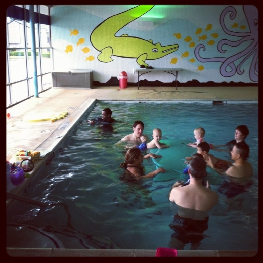 Photo by <br />
<b>Notice</b>:  Undefined index: user in <b>/home/www/activeuser/data/www/vaplace.com/core/views/default/photos.php</b> on line <b>128</b><br />
. Picture for SwimJim Swimming Lessons - Yorkshire Towers in New York City, New York, United States - Point of interest, Establishment, Store, Health