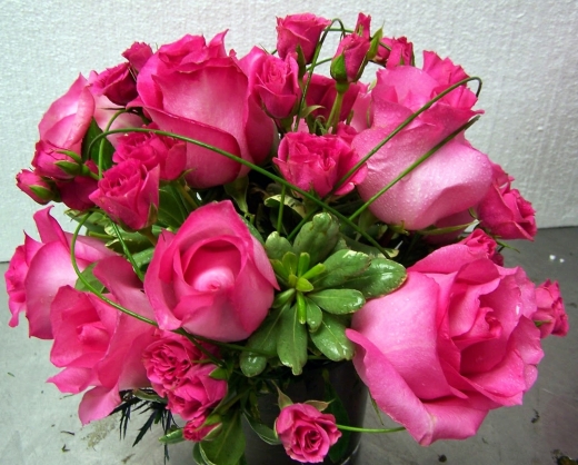 Photo by <br />
<b>Notice</b>:  Undefined index: user in <b>/home/www/activeuser/data/www/vaplace.com/core/views/default/photos.php</b> on line <b>128</b><br />
. Picture for Emil Yedowitz Florist in Yonkers City, New York, United States - Point of interest, Establishment, Store, Florist