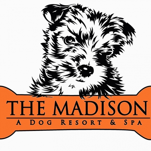 Photo by <br />
<b>Notice</b>:  Undefined index: user in <b>/home/www/activeuser/data/www/vaplace.com/core/views/default/photos.php</b> on line <b>128</b><br />
. Picture for The Madison Dog Resort & Spa in Wayne City, New Jersey, United States - Point of interest, Establishment, Store, Pet store, Park