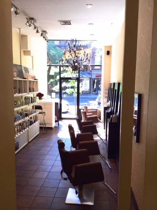 Loja SalonSpa in Brooklyn City, New York, United States - #1 Photo of Point of interest, Establishment, Beauty salon, Hair care