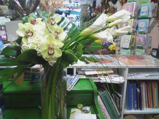 Photo by <br />
<b>Notice</b>:  Undefined index: user in <b>/home/www/activeuser/data/www/vaplace.com/core/views/default/photos.php</b> on line <b>128</b><br />
. Picture for Alborada Florist in New Rochelle City, New York, United States - Point of interest, Establishment, Store, Florist