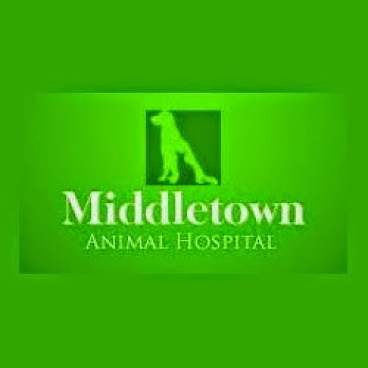 Middletown Animal Hospital in Middletown City, New Jersey, United States - #2 Photo of Point of interest, Establishment, Veterinary care