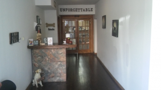 Unforgettable Pet Salon in New Rochelle City, New York, United States - #2 Photo of Point of interest, Establishment, Veterinary care