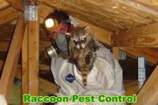 Photo by <br />
<b>Notice</b>:  Undefined index: user in <b>/home/www/activeuser/data/www/vaplace.com/core/views/default/photos.php</b> on line <b>128</b><br />
. Picture for Full Service Animal & Pest Control Specialists.. in Carteret City, New Jersey, United States - Point of interest, Establishment, Store, Home goods store, Park, Shopping mall