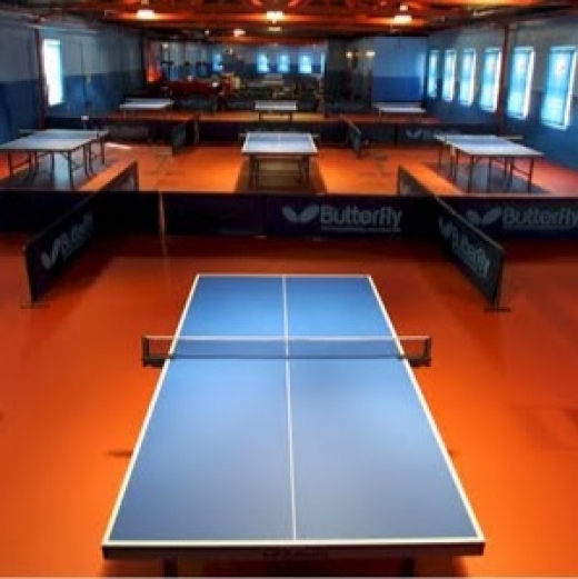 New York Indoor Sports Club in Queens City, New York, United States - #1 Photo of Point of interest, Establishment